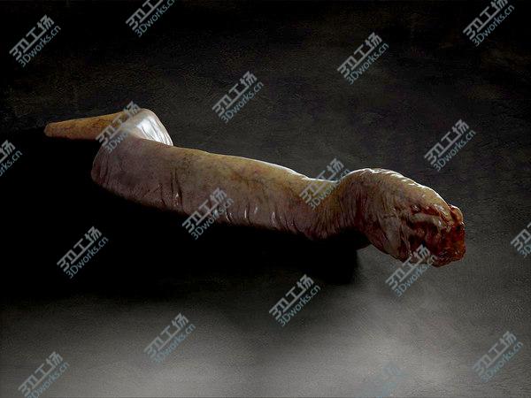 images/goods_img/20210312/Worm creature/4.jpg